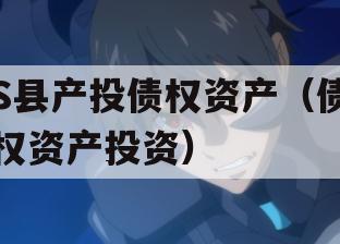 S县产投债权资产（债权资产投资）