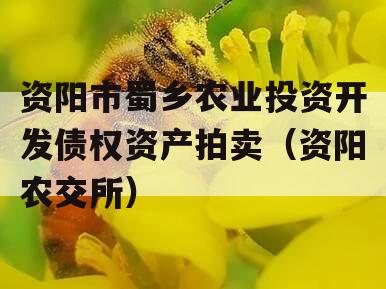 资阳市蜀乡农业投资开发债权资产拍卖（资阳农交所）
