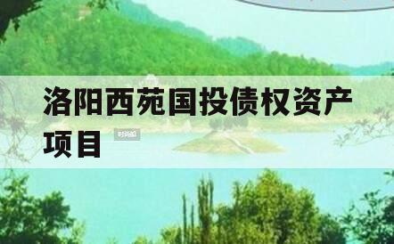 洛阳西苑国投债权资产项目