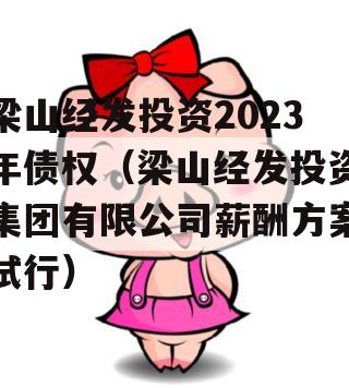 梁山经发投资2023年债权（梁山经发投资集团有限公司薪酬方案试行）