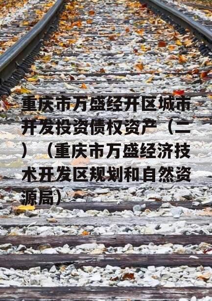 重庆市万盛经开区城市开发投资债权资产（二）（重庆市万盛经济技术开发区规划和自然资源局）