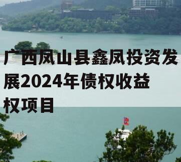广西凤山县鑫凤投资发展2024年债权收益权项目