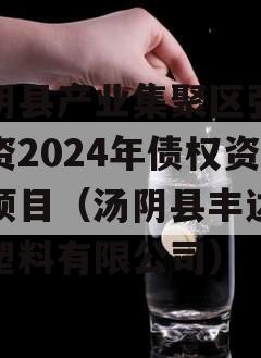 汤阴县产业集聚区弘达投资2024年债权资产项目（汤阴县丰达工程塑料有限公司）