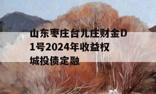 山东枣庄台儿庄财金D1号2024年收益权城投债定融