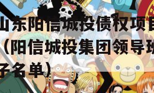 山东阳信城投债权项目（阳信城投集团领导班子名单）