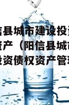 阳信县城市建设投资债权资产（阳信县城市建设投资债权资产管理办法）