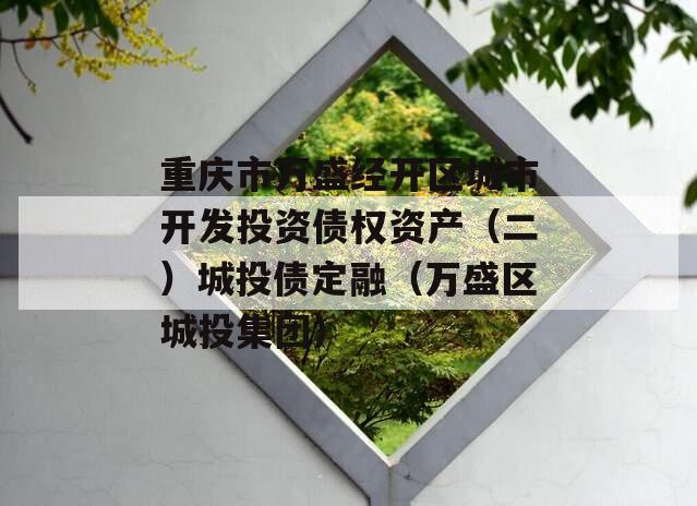 重庆市万盛经开区城市开发投资债权资产（二）城投债定融（万盛区城投集团）
