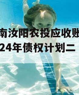河南汝阳农投应收账款2024年债权计划二期