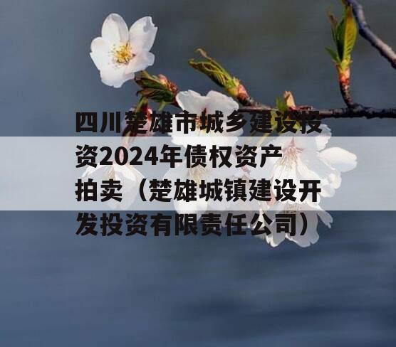 四川楚雄市城乡建设投资2024年债权资产拍卖（楚雄城镇建设开发投资有限责任公司）