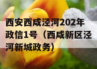 西安西咸泾河202年政信1号（西咸新区泾河新城政务）