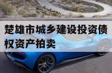 楚雄市城乡建设投资债权资产拍卖