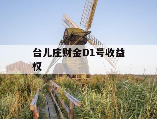 台儿庄财金D1号收益权