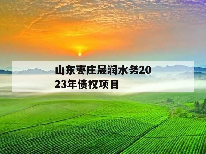 山东枣庄晟润水务2023年债权项目