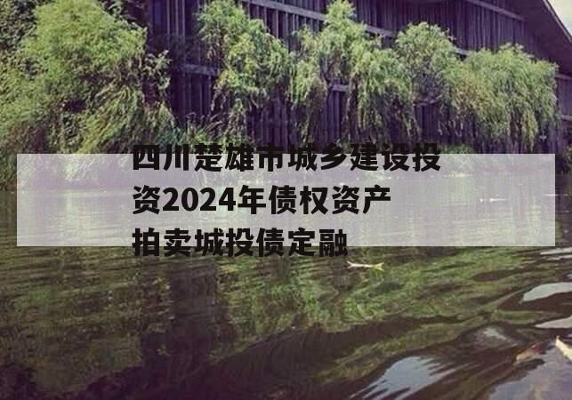 四川楚雄市城乡建设投资2024年债权资产拍卖城投债定融