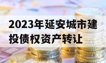 2023年延安城市建投债权资产转让