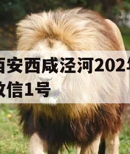 西安西咸泾河202年政信1号