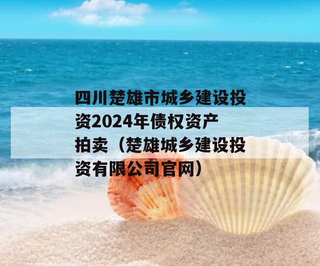 四川楚雄市城乡建设投资2024年债权资产拍卖（楚雄城乡建设投资有限公司官网）