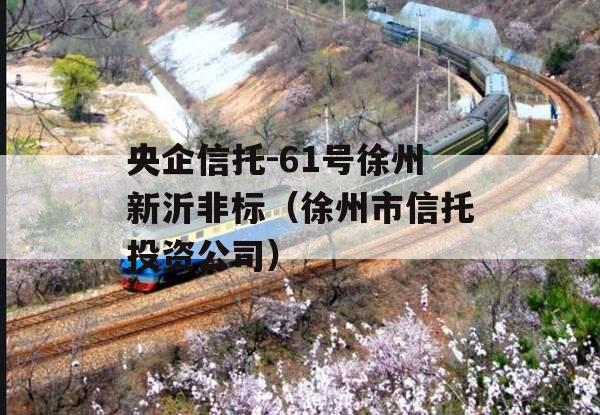 央企信托-61号徐州新沂非标（徐州市信托投资公司）