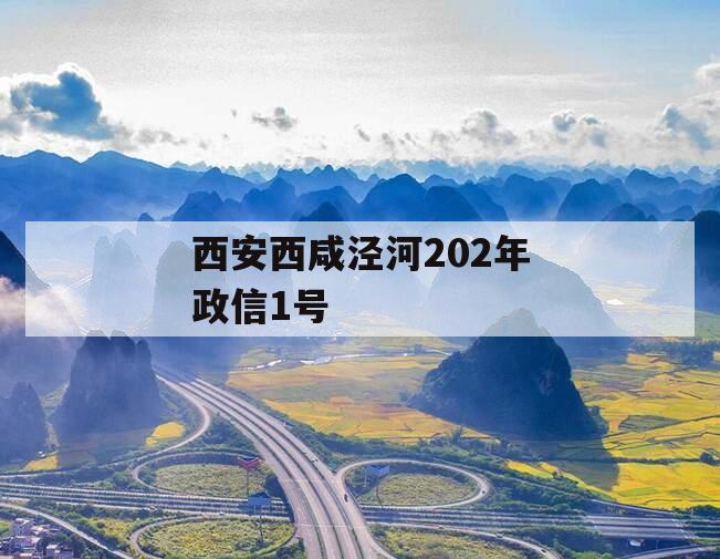 西安西咸泾河202年政信1号