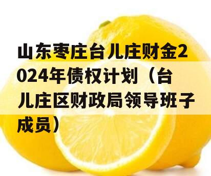 山东枣庄台儿庄财金2024年债权计划（台儿庄区财政局领导班子成员）