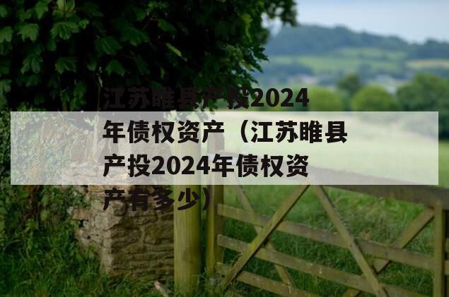 江苏睢县产投2024年债权资产（江苏睢县产投2024年债权资产有多少）