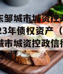 山东邹城市城资控政信2023年债权资产（邹城市城资控政信待遇怎么样）