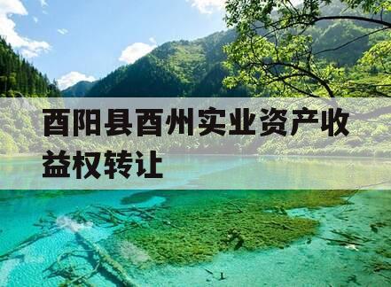 酉阳县酉州实业资产收益权转让