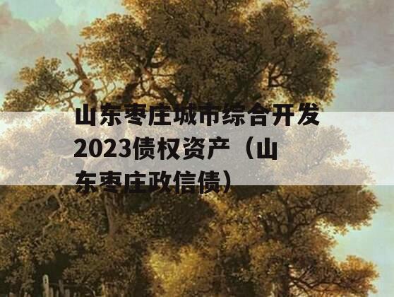 山东枣庄城市综合开发2023债权资产（山东枣庄政信债）