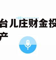枣庄台儿庄财金投资债权资产