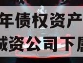 山东邹城市城资控政信2024年债权资产（邹城城资公司下属公司）