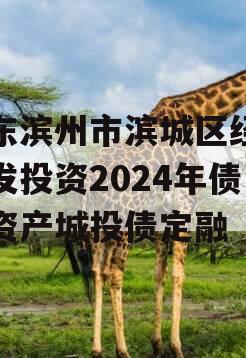 山东滨州市滨城区经济开发投资2024年债权资产城投债定融