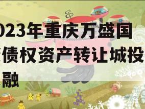 2023年重庆万盛国资债权资产转让城投债定融