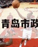 山东省青岛市政信项目