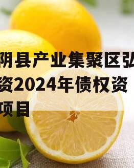 汤阴县产业集聚区弘达投资2024年债权资产项目
