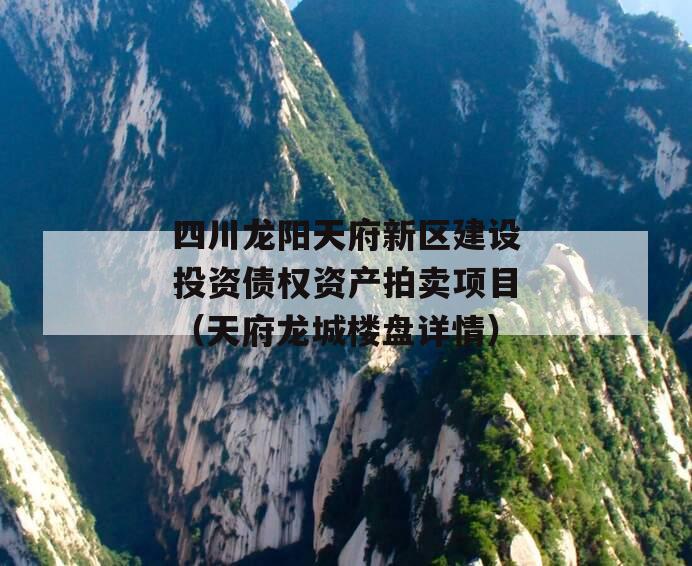 四川龙阳天府新区建设投资债权资产拍卖项目（天府龙城楼盘详情）