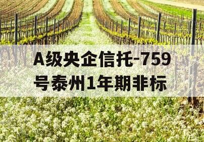 A级央企信托-759号泰州1年期非标