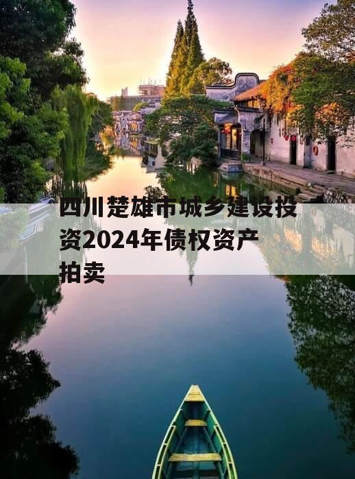 四川楚雄市城乡建设投资2024年债权资产拍卖