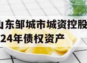 山东邹城市城资控股2024年债权资产
