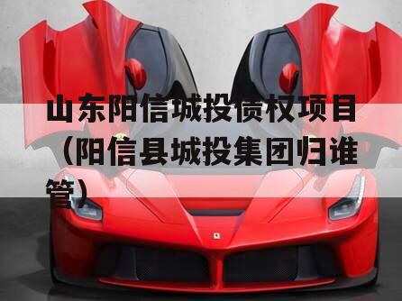 山东阳信城投债权项目（阳信县城投集团归谁管）