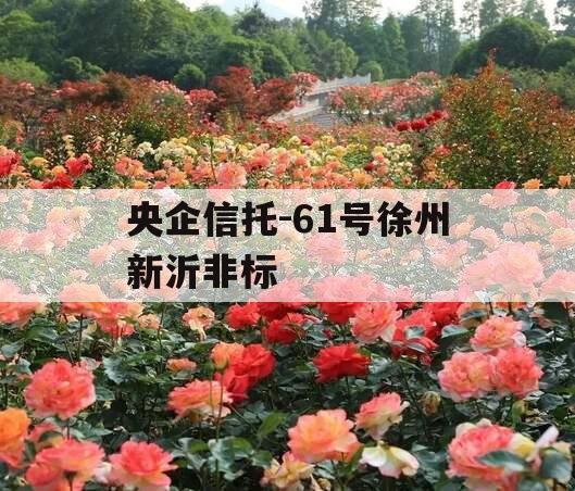 央企信托-61号徐州新沂非标