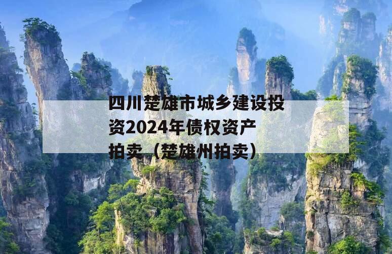 四川楚雄市城乡建设投资2024年债权资产拍卖（楚雄州拍卖）