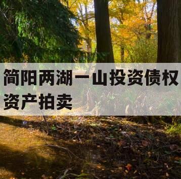 简阳两湖一山投资债权资产拍卖