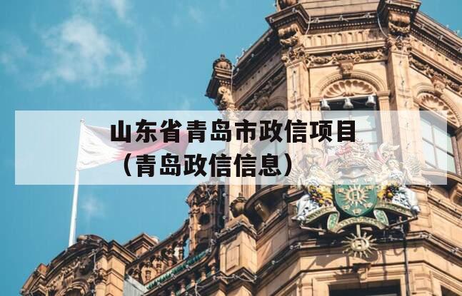 山东省青岛市政信项目（青岛政信信息）