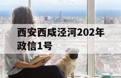 西安西咸泾河202年政信1号