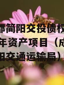 成都简阳交投债权2024年资产项目（成都简阳交通运输局）