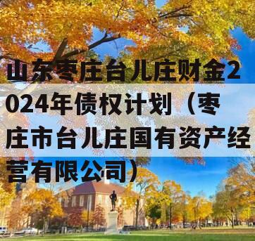 山东枣庄台儿庄财金2024年债权计划（枣庄市台儿庄国有资产经营有限公司）