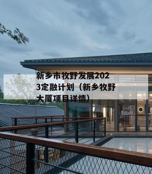 新乡市牧野发展2023定融计划（新乡牧野大厦项目详情）