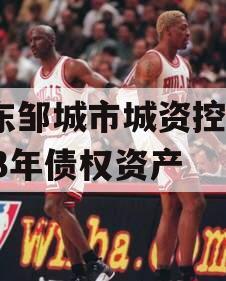 山东邹城市城资控股2023年债权资产
