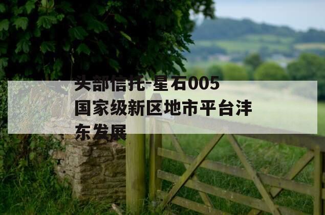 头部信托-星石005国家级新区地市平台沣东发展