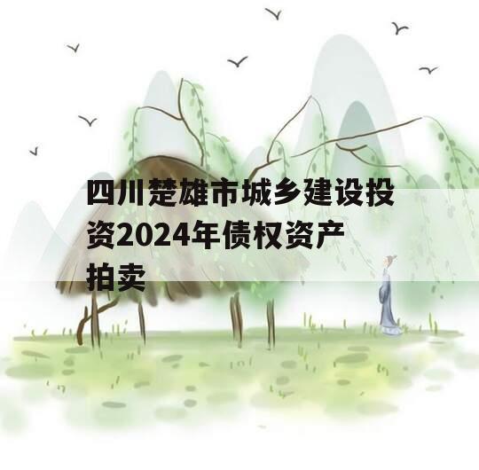 四川楚雄市城乡建设投资2024年债权资产拍卖